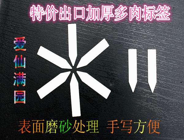 加厚出口标签  种子标签 多肉标签 书写方便