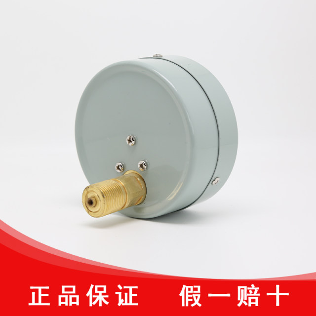 红旗仪表厂家直销轴向无边压力表Y-100Z家用管道储气罐专用包检测