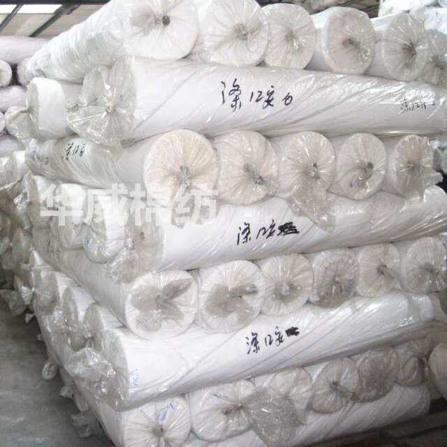 热涤白帆布 布料帆布花床单帆布全化纤涤纶数码 布布印花转印沙发
