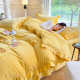 Milk velvet four-piece set 2025 new thickened double-sided coral velvet quilt cover bed plus velvet sheets high-end winter style