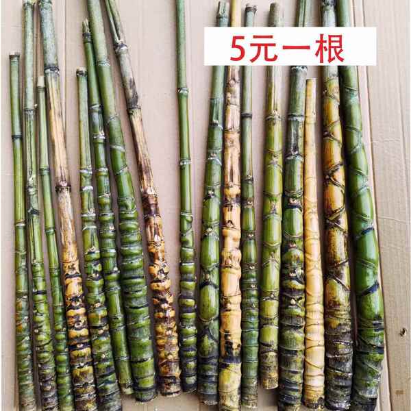 龟甲竹罗汉竹鱼竿把件烟斗竹子料拐杖手杖毛料茶则手工艺品文玩