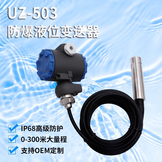 投入式液位变送器水位传感器探头液位水位显示器控制仪电子液位计