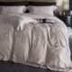 Direct sales of the manufacturer in spring and summer high-end cool feeling Tiansi cotton four-piece set light luxury style jacquard silky wide edge quilt cover bed sheet