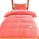 Student dormitory bed three-piece set of high school students' dormitory milk velvet sheets and quilt cover thickened coral velvet bedding