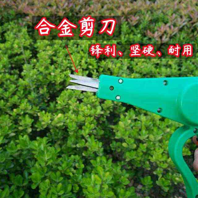2022年新款电动摘花椒神器采摘花椒机器全自动剪花椒专用工具剪刀