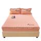 Single piece anti-slip water-washed cotton bed cover 2024 new bed sheets all-inclusive Simmons mattress dust protection cover