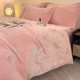 Embroidered winter style thickened milk velvet four-piece set coral velvet bed flannel duvet cover double-sided velvet sheet princess style