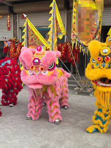 Awakening Lion Dance, Southern Lion, Foshan Awakening Lion, Guangdong Lion Dance, Awakening Lion, Southern Lion, Austral