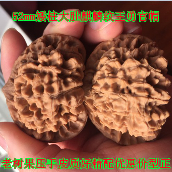 52MM麻核桃超特大肚矮桩麒麟纹王勇官帽精品文玩把玩核桃狮子野生