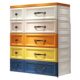 European plastic drawer storage cabinet children's wardrobe five-dog shoe cabinet storage rack storage box sorting Chenzhiyi