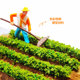 DIY handmade vegetable field building model material mini scene mini simulation food doll house tool mini