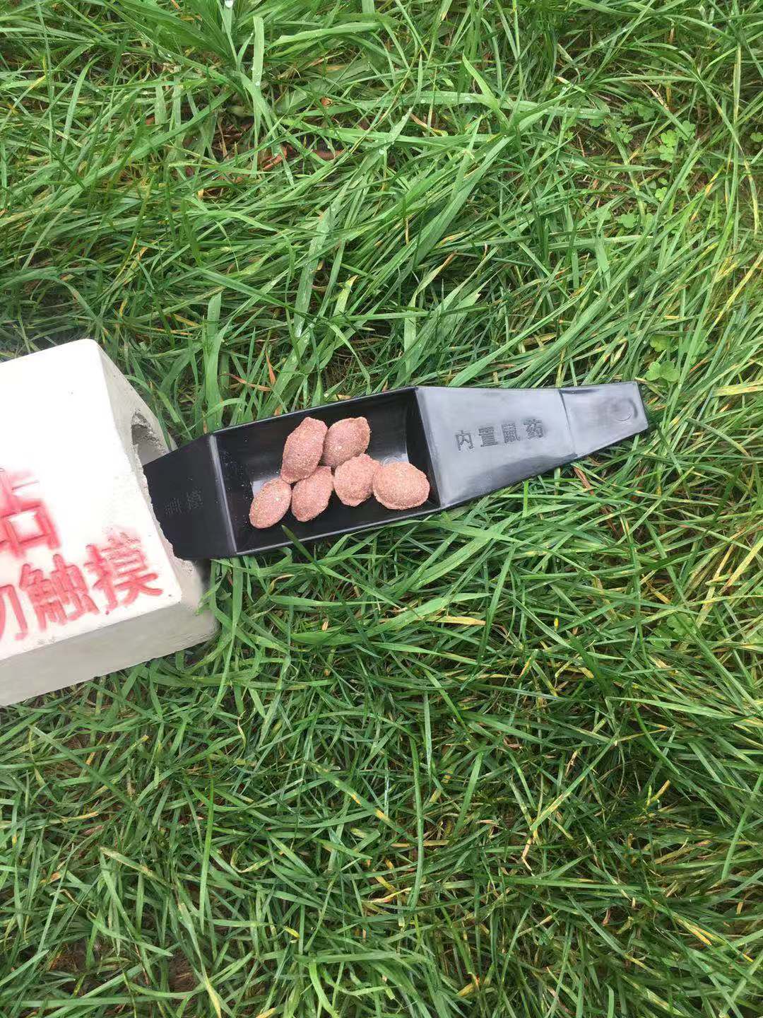 시멘트 독 미끼 스테이션 쥐 상자 설치류 방제 및 건강 생성을 위한 12개 조각 운남성에서 출시된 고품질 새 모델