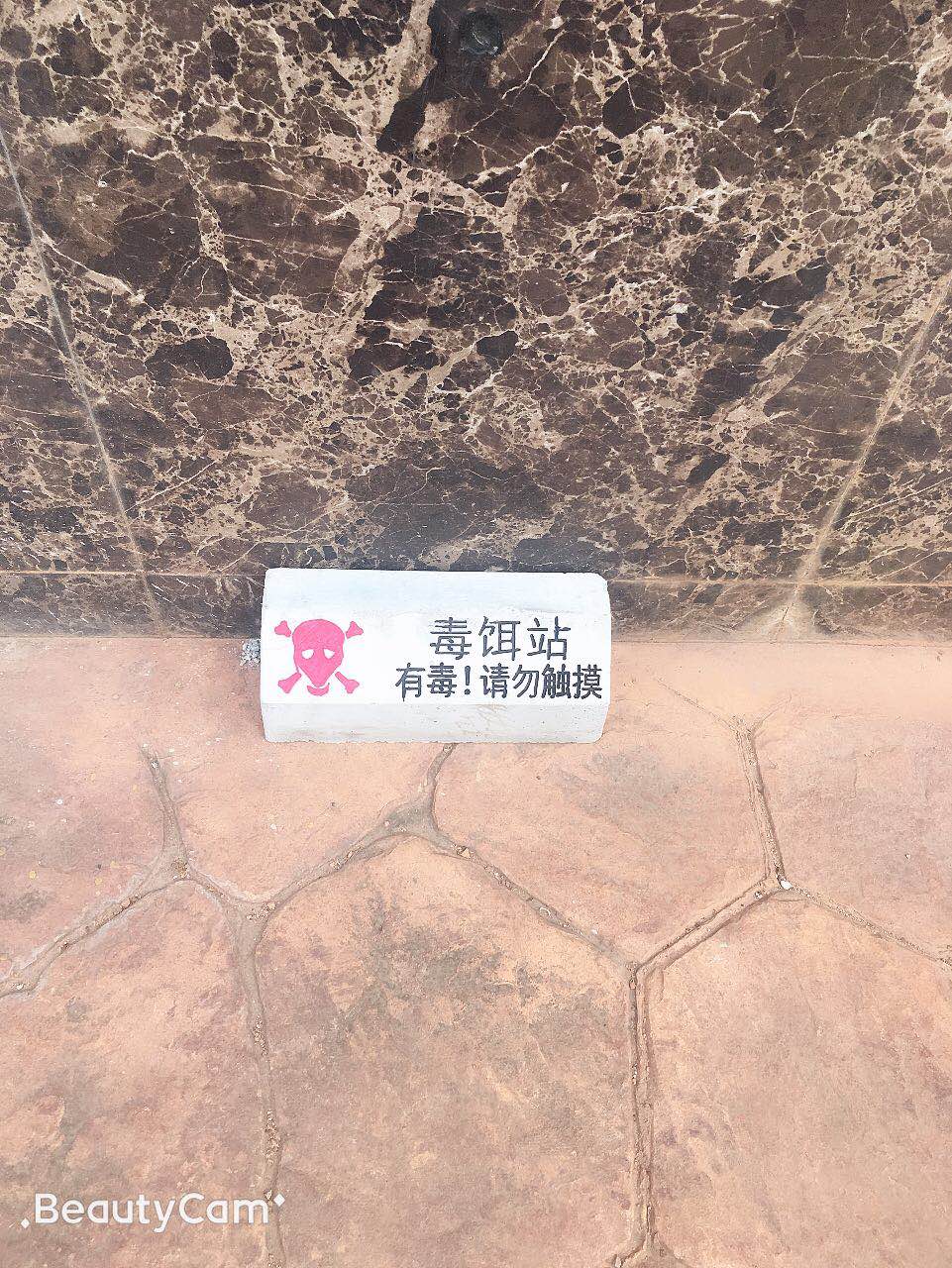 시멘트 독 미끼 스테이션 쥐 상자 설치류 방제 및 건강 생성을 위한 12개 조각 운남성에서 출시된 고품질 새 모델