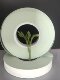 Gray-green hot pressed silicone leather 0.2-0.25-0.3-0.45mm Width 10-15-20-30-50-80mm