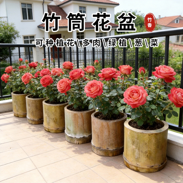 种植花盆楠竹筒楠竹干料竹筒毛竹筒花盆旧粗竹筒阳台种菜养花多肉