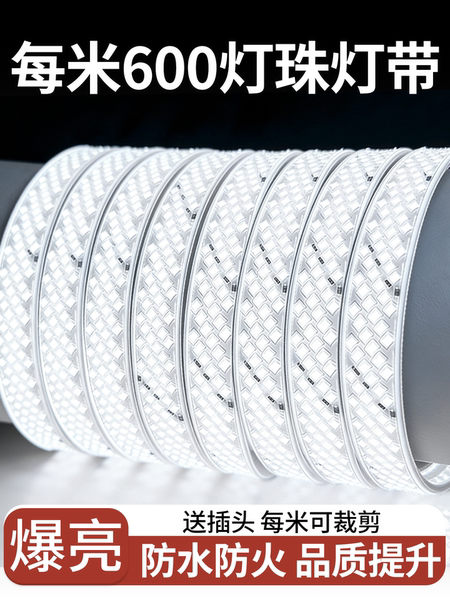 600灯珠爆亮320灯带LED灯条户外工程超亮防水家用客厅室外220V