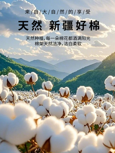 Pure Cotton Duvet Cover Single Piece 100% Cotton Flagship 2026 New Model 1.5m Winter Single Individual Quilt Cover 200X2