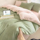 Milk velvet bed four-piece set thickened coral velvet double-sided velvet quilt cover flannel sheet three-piece set winter style