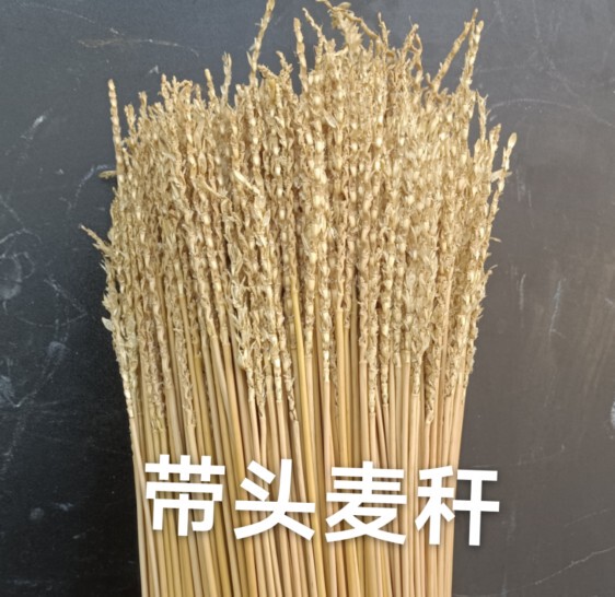 带头麦秆 念经麦秆 小麦秆 麦秆画 麦秆吸管 烧香拜佛