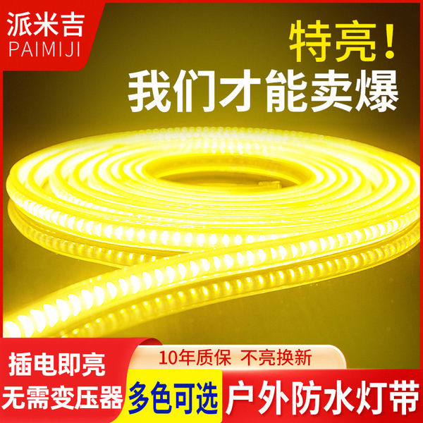 led灯带220v三色客厅吊顶家用彩灯室外超亮装饰户外防水自粘灯条
