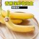 Japanese creative banana protection box convenient to carry anti-squeezing storage box Banana box fruit storage