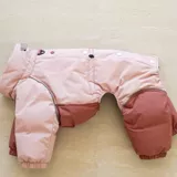 24-летняя собака среднего размера, борзая, уиппет, водолазка, хлопковое пальто, осенняя и зимняя одежда для домашних собак, теплое ветрозащитное экологическое хлопковое пальто