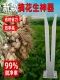 Peanut Picking Artifact Household Picking Edama Picking Peanut Threshing Peanuts Picking Tool Picking Tool Picking Tool