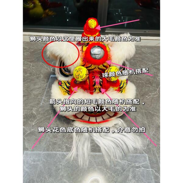 厂家成人舞龙舞狮舞狮子佛山泡沫醒狮南狮醒狮头全套双人单人国标