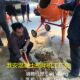 Jisu gasoline engine concrete mixer cement mortar mixer household construction export factory direct sales CM26