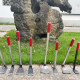 Manganese steel small hoe weeding rake vegetable planting flower weeding artifact digging soil for household agricultural land digging multi-functional tool
