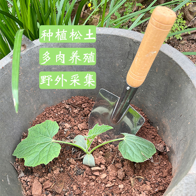 Outdoor digging small shovel flower planting tools for small gardening flower shovel small shovel digging wild vegetables small iron shovel