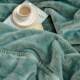 Flannel blanket quilt in winter thickened double coral velvet blanket bed linens office nap sofa cover blanket