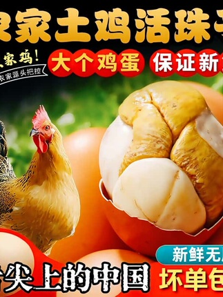 13 days fresh authentic live beads with five-spice spicy flavors. Open bags and ready-to-eat full cooked eggs tempered eggs independently packaged