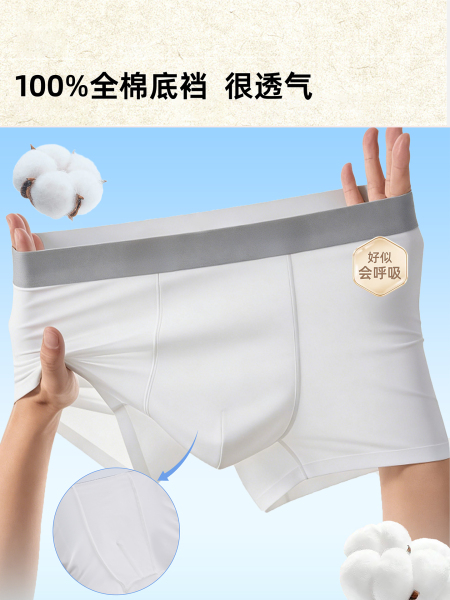 WAYTOGO一次性内裤男士纯棉无菌独立包装日抛免洗医用无痕平角 — 2