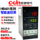 Xinling HB401-FK-M*AN FP-M*AN FK-V*AN FP-V*AN *AB/C4 intelligent temperature control instrument
