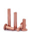 Copper flat head rivet hitting GB109 Copper nail solid thunder flat hat M1.5M2M2.5M3M4M5M6M8