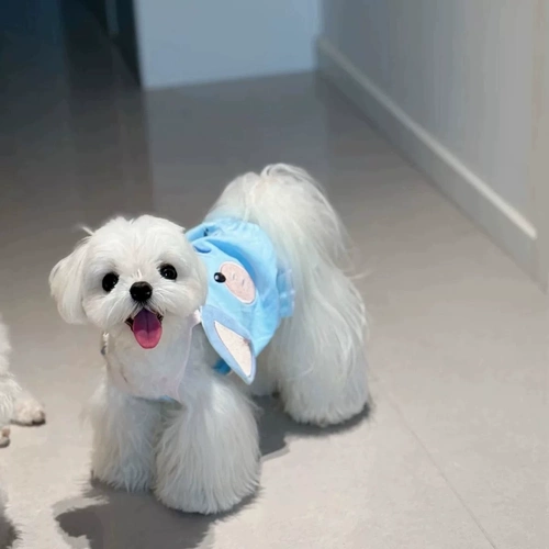 Жилет, летний милый тонкий шнурок-держатель с животными