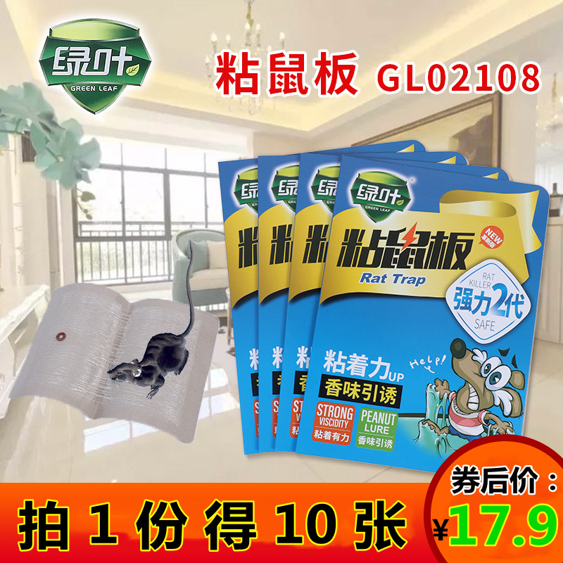 [10 장] 2108 GREENLEAF POWER KING 2세대 대형 쥐 고정 보드 고효율 마우스 스티커 스티커 스티커를 유혹하는 마우스 트래핑 도구 벨트
