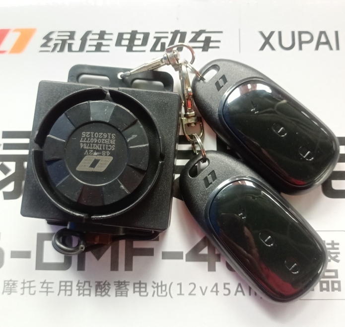 LUJIA 전기 자동차 원래 도난 방지 원격 제어 작은 머리 6 구멍 B