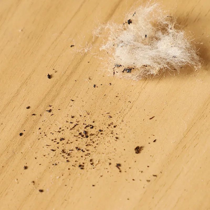 BRAVE THE COLD  FLEECE SHEARLING SHEEPSKIN AND NUBUCK COWHIDE UPPER MENS AND WOMENS LACE-UP CASUAL SHOES