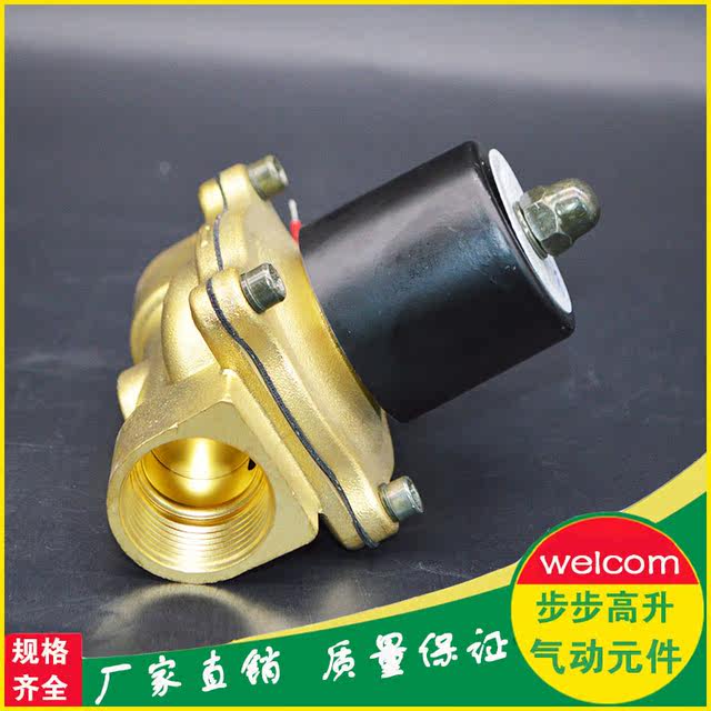 CHNT正泰气动工具 2W水阀 全铜走水电磁阀常闭气阀12V/24V/220V