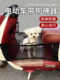 Electric car with dog artifact for cat pets universal front anti-drop net bag battery car foot pedal storage hanging bag