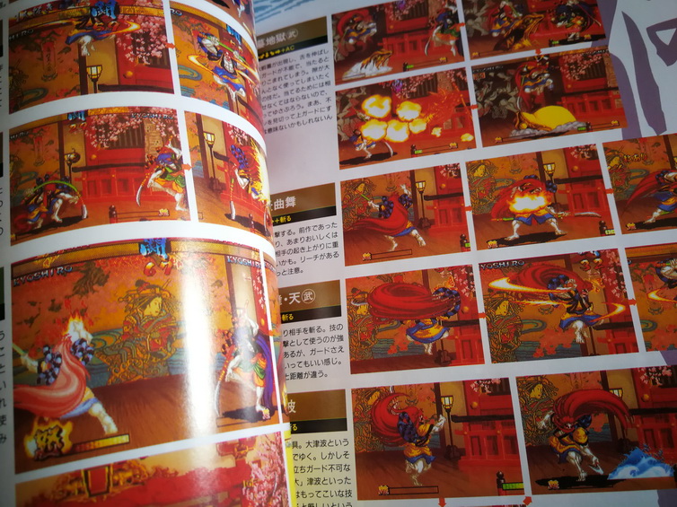 SAMURAI SHODOWN 3: ZHANHONGLANG WUSHUANG SWORD 전략 도서 설정