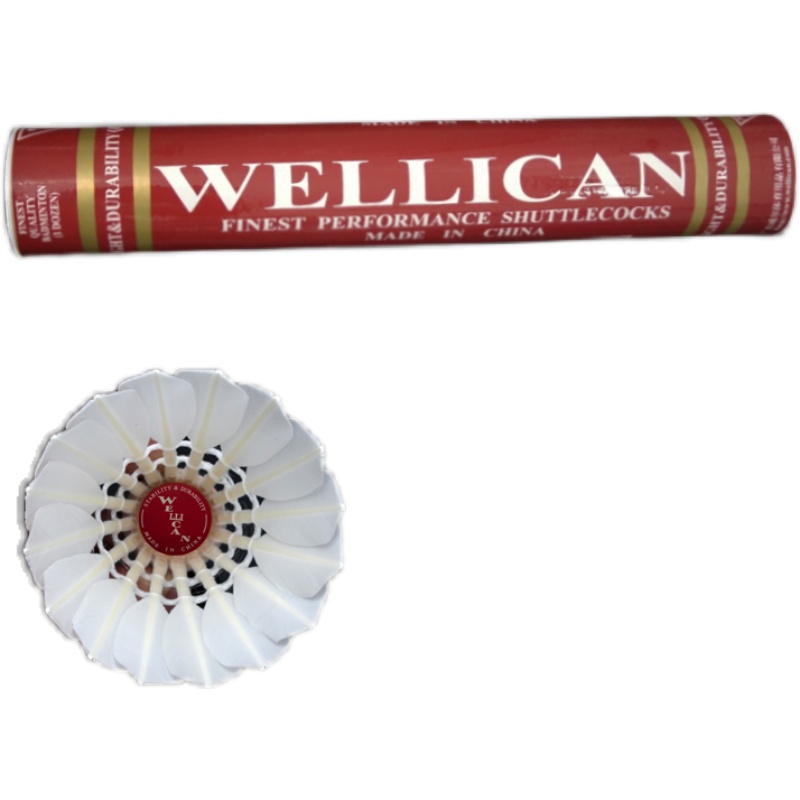 [프리 핸드 글루] 킹웨이 배드민턴 안정 경기 훈련장 특수 공 12팩 WELLICAN