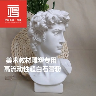 Hongtai Art Textbook Sculpture Special High Strength Extra White Gypsum Powder