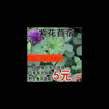 �ϻ���ޣ�ݷN�Ӷ������ļ����ݷN����ޣ�˷N���u���Zţ���~�ݷN��