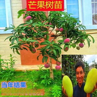 ���lâ������̨�r�����ļ�â�t�F���P�ذ�â�޽�â����С������