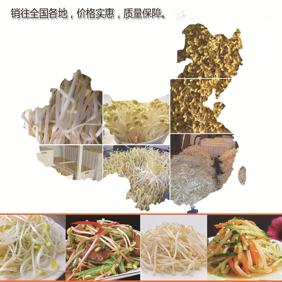 豆芽机展示页05