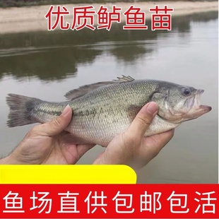 ��ˮ�|�~�� �����|�~�� ·���� ��ں��|�~�� ��ˮ�Bֳ ������]