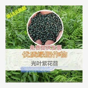 ���@�G�ʷN�ӹ��~�ϻ����L��ëҰ�㶹ë�����B����Դ